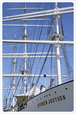 suomenjoutsen.png
